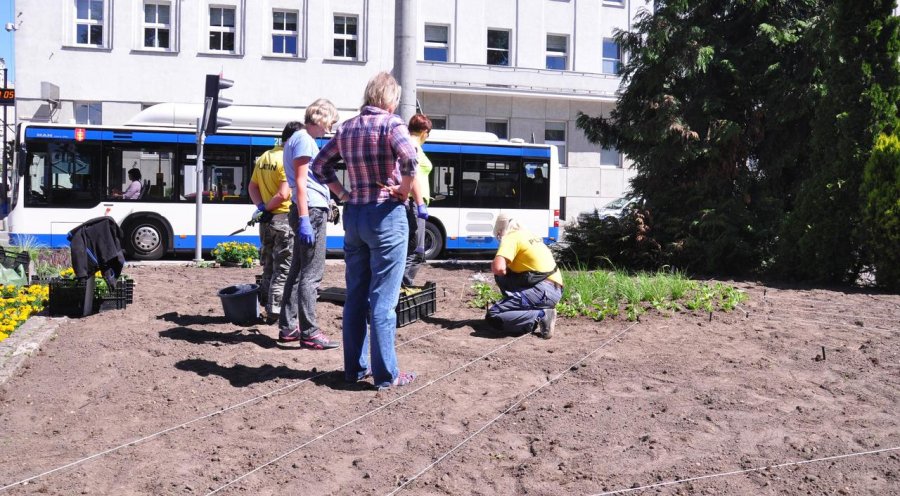 Od przedpołudnia trwały prace nad realizacją „Kwiatowej Arki” // fot. Magdalena Czernek