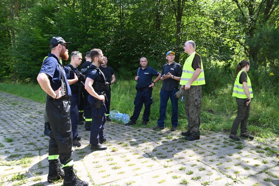 ludzie chodzą po lesie