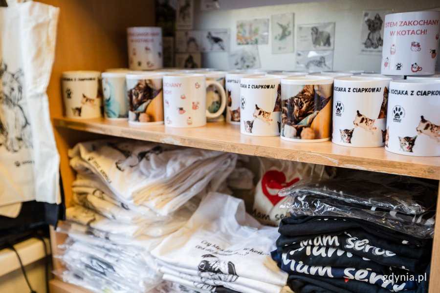 Kubki i koszulki z napisami i wizerunkiem zwierzat, które można kupić w „Ciapkowie” 