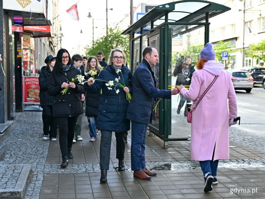 Uczniowie i nauczyciele z gdyńskich szkół oraz poseł Rafał Siemaszko wręczający mieszkańcom żonkile pamięci 