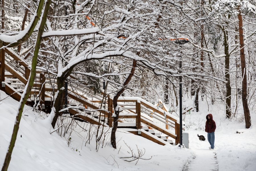 Park Leśny, fot. gdynia.pl