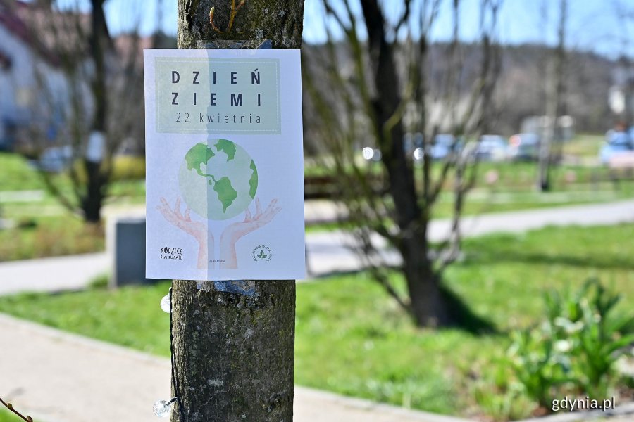 Dzień Ziemi obchodzimy 22 kwietnia