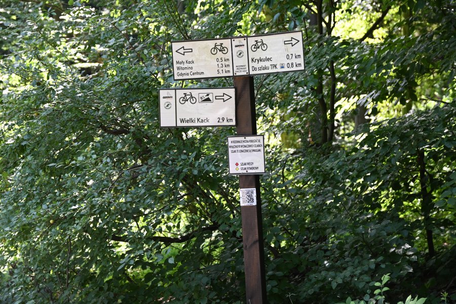ludzie chodzą po lesie