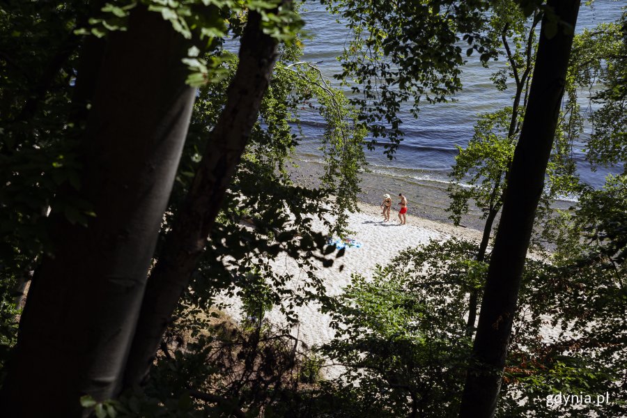 Plaża w Orłowie. Widok z wysokości poprzez drzewa na dwójkę spacerujących po piasku plażowiczów i morze. Fot, Przemysław Kozłowski