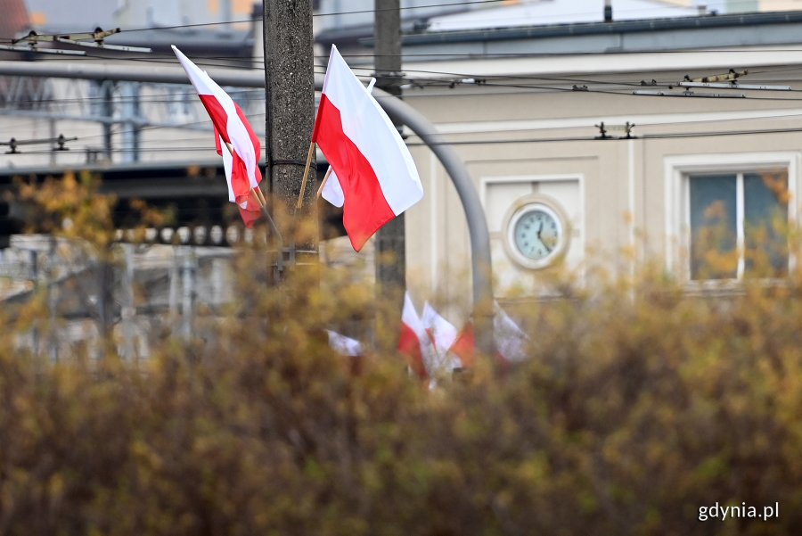 Biało-czerwone flagi powiewające na placu Konstytucji w okolicy Dworca Głównego PKP. Na pierwszym planie krzak z małymi, żółtymi liśćmi // fot. Michał Puszczewicz
