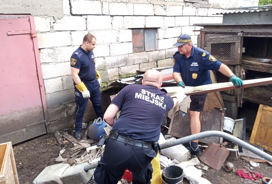 Mężczyźni w mundurach na zagraconym podwórku