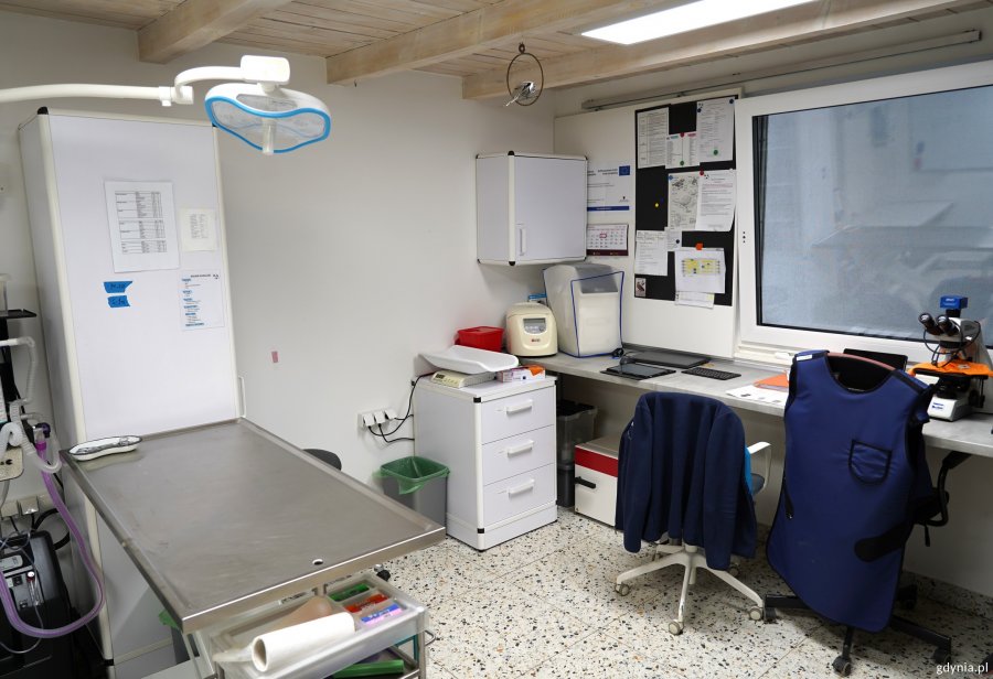 Na zdjęciu: pok&oacute;j zabiegowy w &bdquo;Ostoi&rdquo;