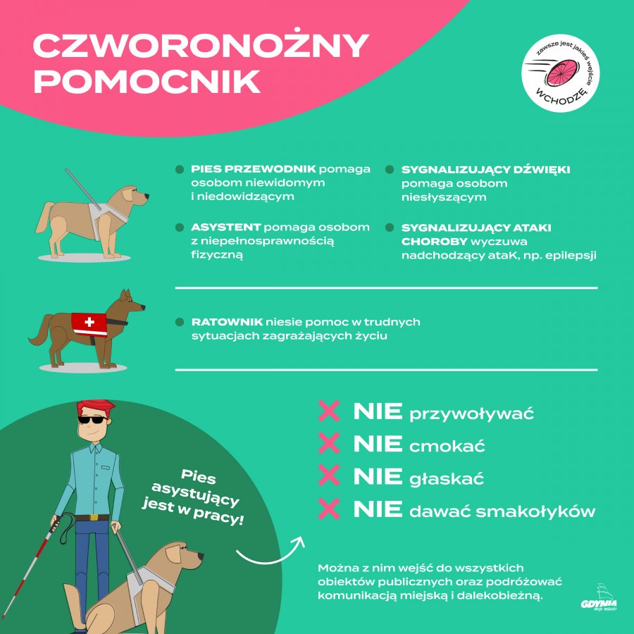 logo z hasłem: WCHODZĘ! Zawsze jest jakieś wejście  VI. CZWORONOŻNY POMOCNIK  Pies przewodnik –  wyszkolony do pomocy osobie niewidomej lub niedowidzącej, pomaga swobodnie poruszać się w przestrzeni publicznej  Pies asystent - wyszkolony do pomocy osobie z niepełnosprawnością fizyczną, pomaga np.  założyć kurtkę czy skarpetki, podnieść przedmiot, który upadł czy zapalić światło.  Pies szkolony, by pomagać osobom niesłyszącym. Informuje o istotnych dźwiękach, np. dzwonku do drzwi czy też o dźwięku syreny alarmowej.  Pies sygnalizujący atak choroby – wyczuwa nadchodzący atak choroby (np. epilepsji, chorób serca) i ostrzega o tym właściciela lub osoby z jego otoczenia lub reaguje na atak choroby.  Pies terapeutyczny – szkolony do pracy w tzw. dogoterapii. W ścisłej współpracy z terapeutą pomaga osobom z psychicznymi czy neurologicznymi schorzeniami dochodzić do zdrowia.  Pies ratowniczy – wyszkolony do niesienia pomocy w trudnych sytuacjach zagrażających życiu.   Pies asystujący jest w pracy. Jego uwaga musi być w 100% skupiona na zadaniu.  - nie przywoływać - nie cmokać - nie głaskać - nie dawać smakołyków  Można z nim wejść do wszystkich obiektów publicznych (urzędy, banki, sądy, obiekty kultury i sportu, lokale usługowe i gastronomiczne). Można podróżować komunikacją miejską i dalekobieżną. Pies asystujący na sobie kamizelkę lub specjalną obręcz.