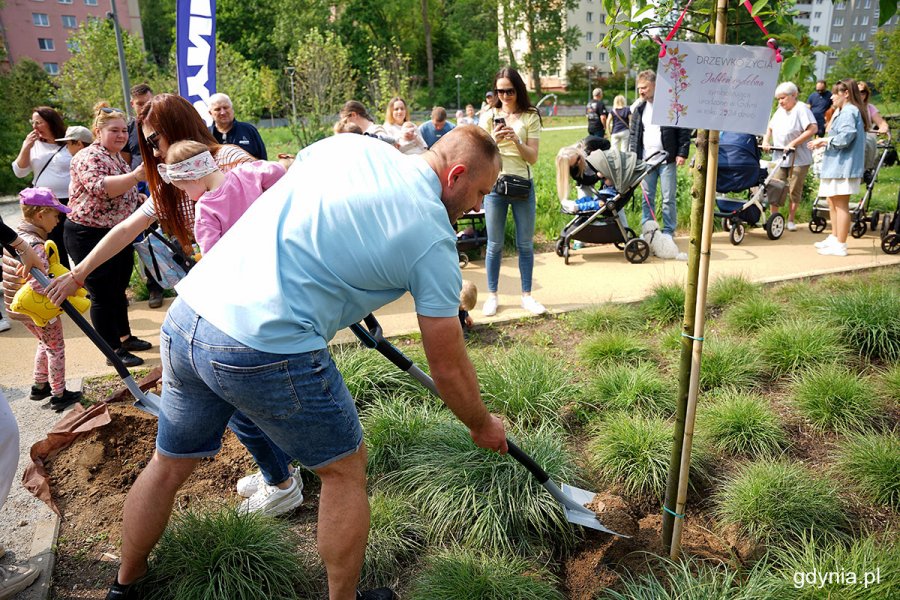 Mężczyzna z łopatą w ręku podsypujący ziemią Drzewko Życia w Parku Centralnym