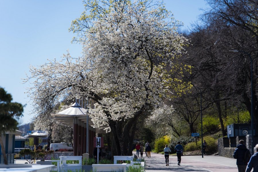 (fot. Paweł Budziński)