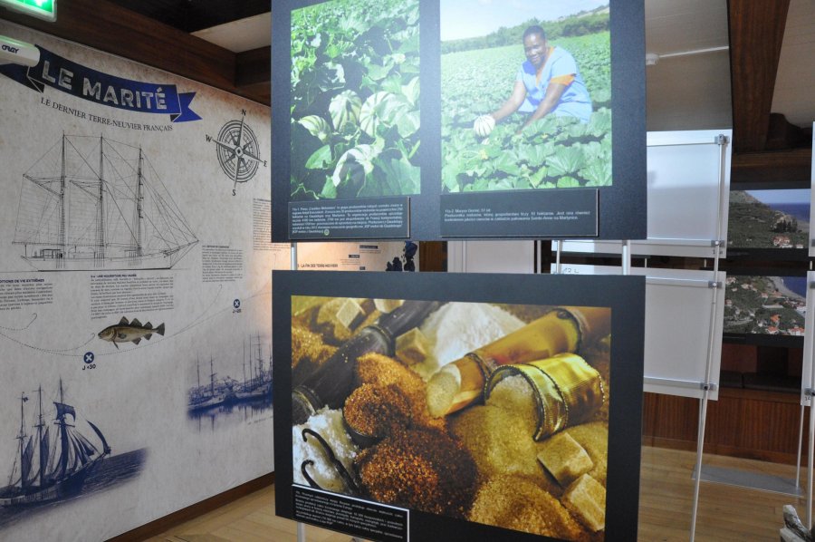 Wystawa "Exotic Taste of Europe" // fot. Magdalena Czernek