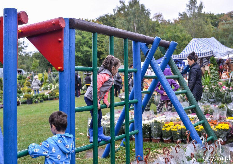 Piknik i targi „Dary Ziemi” w Gdyni // fot. Przemek Świderski