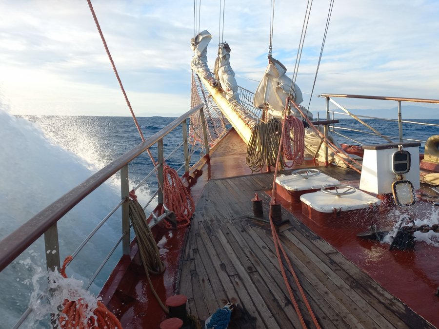  Gdyńscy uczniowie podczas rejsu na STS &bdquo;Pogoria&rdquo; 