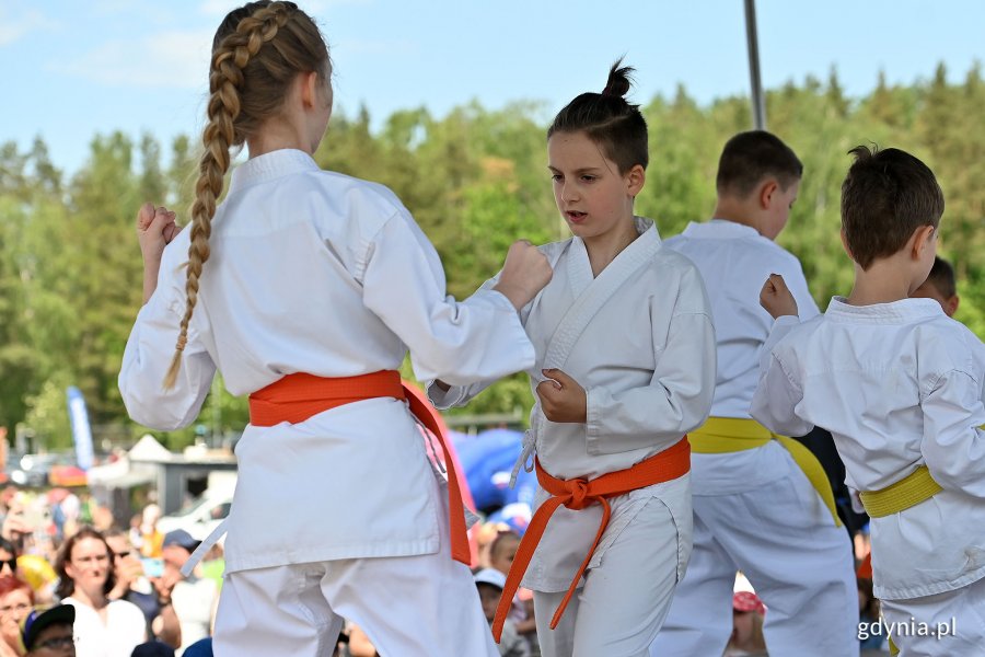 Pokaz karate w wykonaniu dzieci