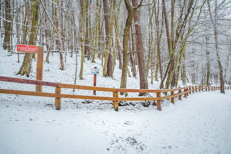 Ciąg pieszy pomiędzy Polanką Redłowską a Płytą Redłowską, na fotografii zimowy krajobraz trasy z widokiem na odcinek leśny w kierunku Redłowaeru