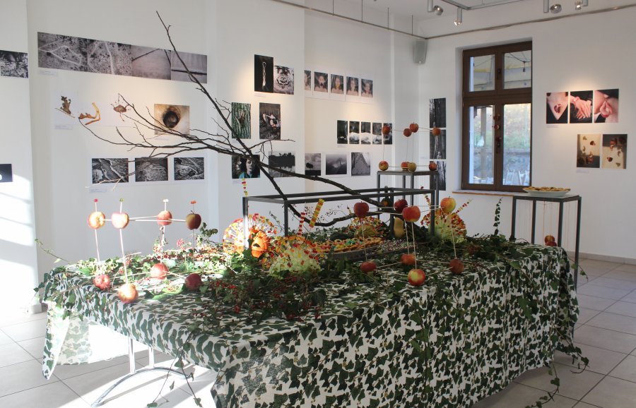 Wystawa „Bio-forma" w Galerii Debiut, fot. Ewa Manuszewska