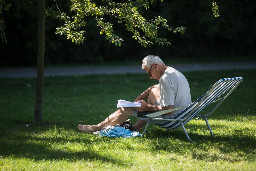 Mężczyzna czytający książkę pod drzewem, na leżaku. 