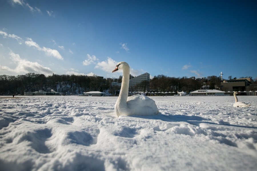 Zima w Gdyni // fot. Karol Stańczak