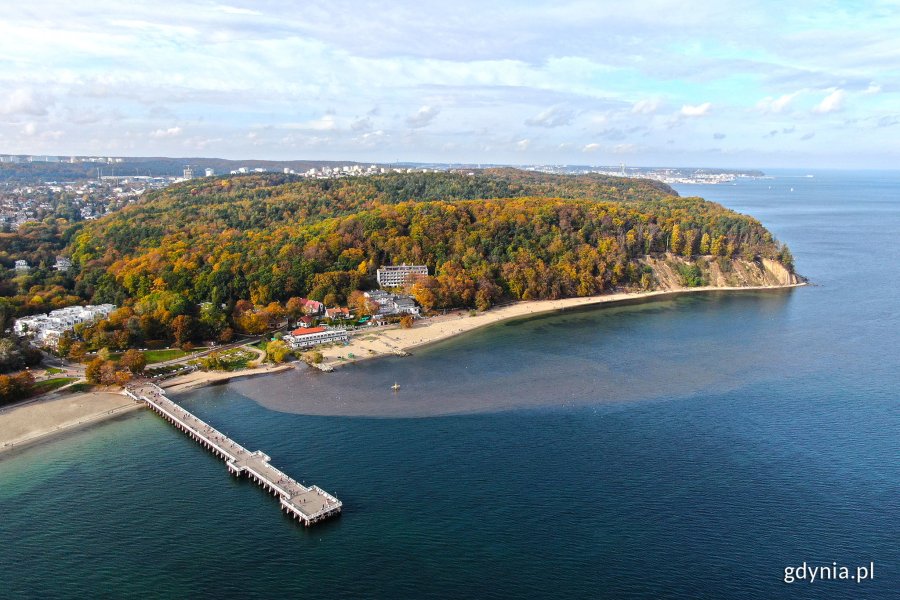 Widok z lotu ptaka na molo w Orłowie, fragment plaży i klif oraz drzewa w jesiennej szacie // fot. Michał Puszczewicz