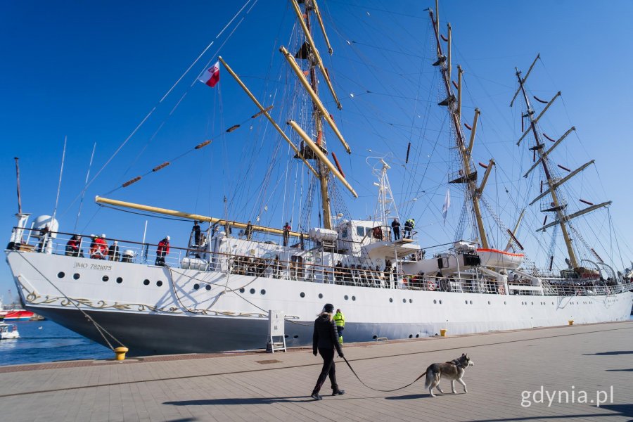 &bdquo;Dar Młodzieży&rdquo; cumujący przy Nabrzeżu Pomorskim