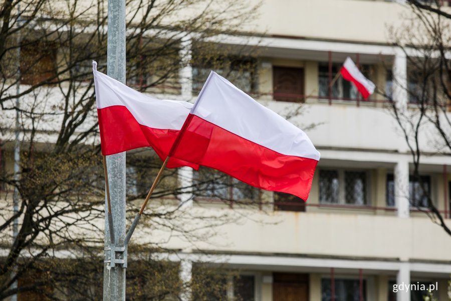 Biało-czerwone flagi powiewające na jednej z gdyńskich ulic // fot. Karol Stańczak