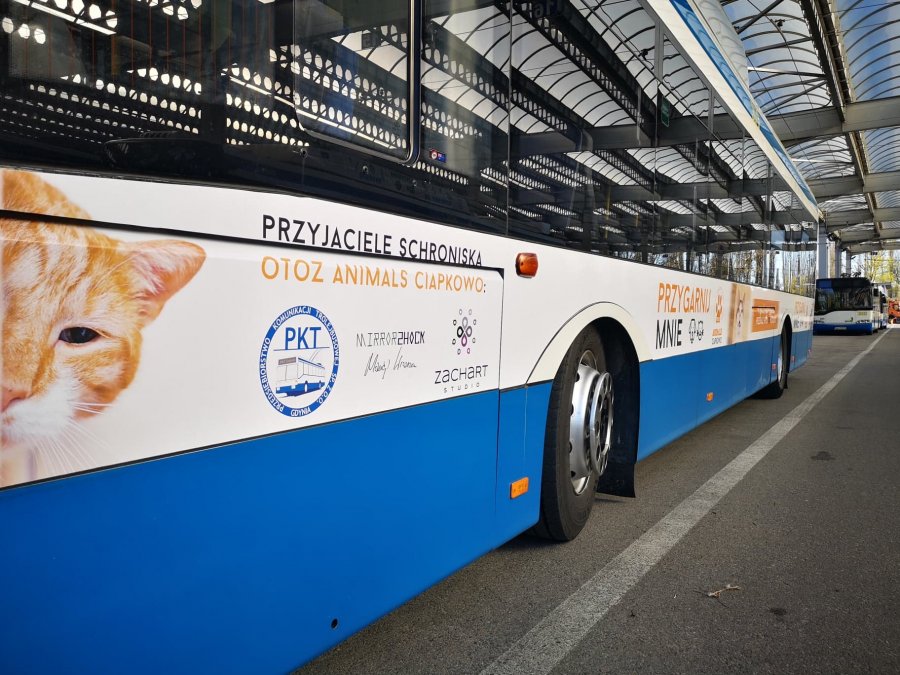Trolejbusy przypominają o 1% dla gdyńskich organizacji // fot. Danuta Kantrzonka