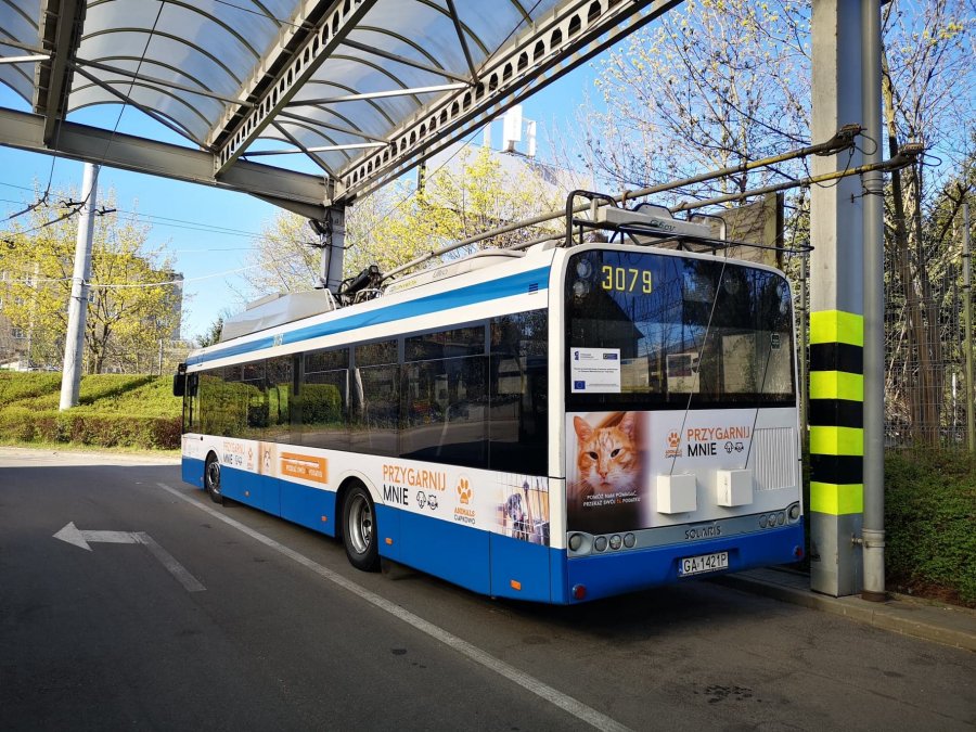 Trolejbusy przypominają o 1% dla gdyńskich organizacji // fot. Danuta Kantrzonka