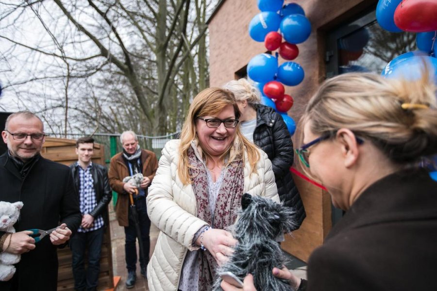 W Gdyni powstał nowy dom dla kotów // fot. Karol Stańczak