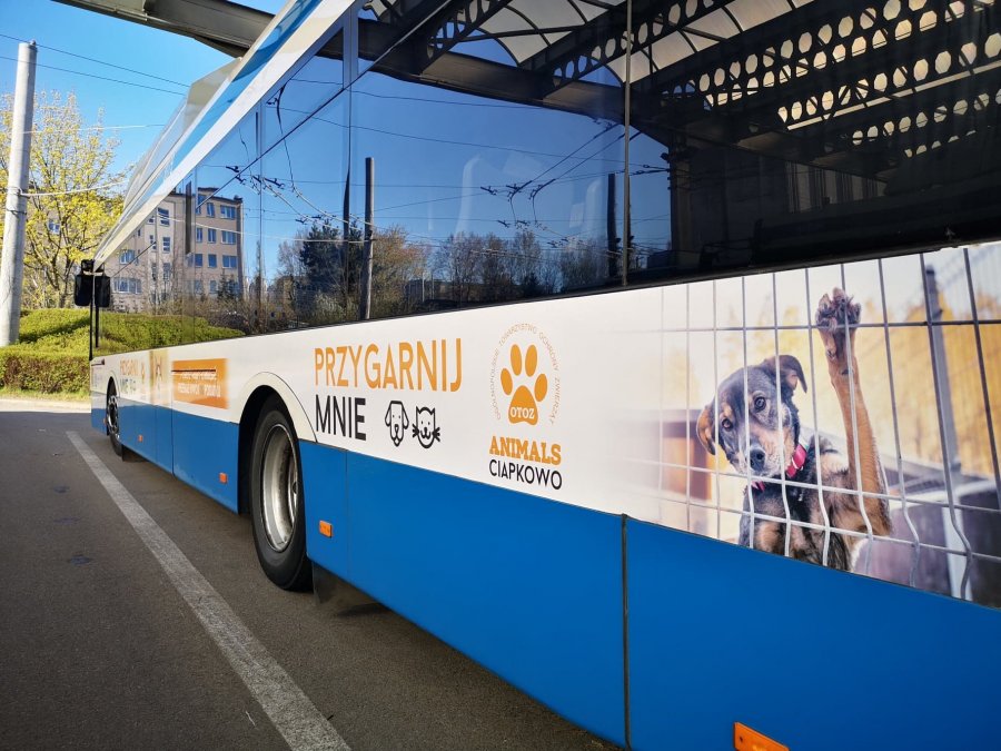 Trolejbusy przypominają o 1% dla gdyńskich organizacji // fot. Danuta Kantrzonka