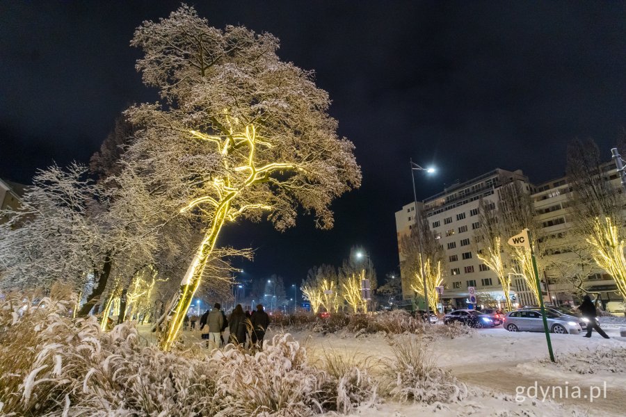 Iluminacje świetlne (fot. Paweł Budziński)