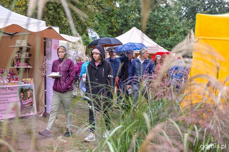 Piknik i targi „Dary Ziemi” w Gdyni // fot. Przemek Świderski