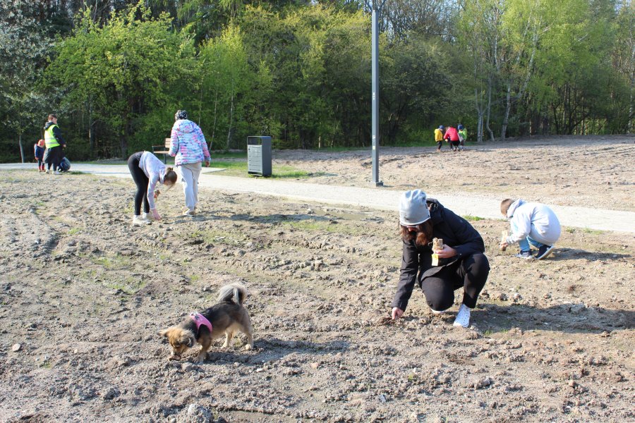 Sianie łąki kwietnej na witomińskiej polanie // fot. materiały prasowe LIS