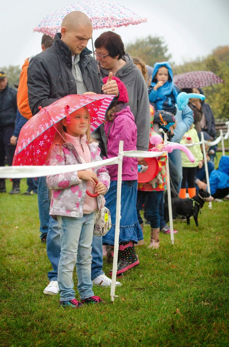 Psie Fikołki 11.10.2014
