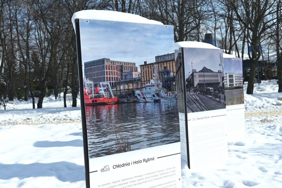 Fotografia hali rybnej