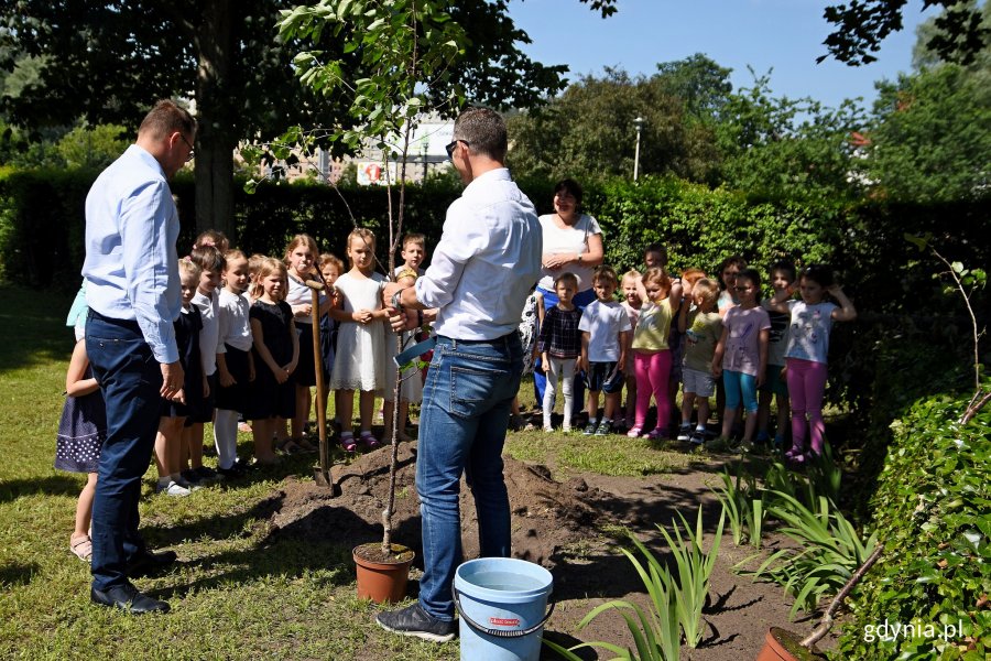 W ramach akcji każda placówka otrzymała sadzonki drzew. W Przedszkolu nr 32 zostały one posadzone po gali wręczenia nagród w konkursie "Odprowadzam Sam" // fot. Paweł Kukla