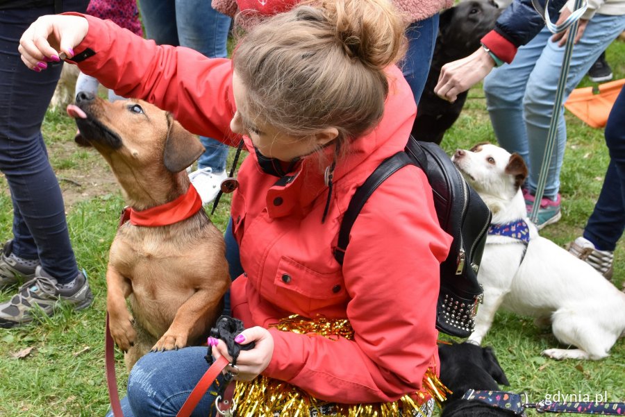 Wybory Kundelka Roku 2019 na Polance Redłowskiej // fot. Magdalena Czernek