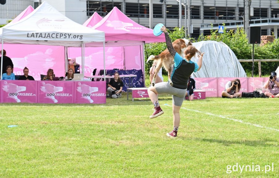 Właścicielka rzuca psu frisbee