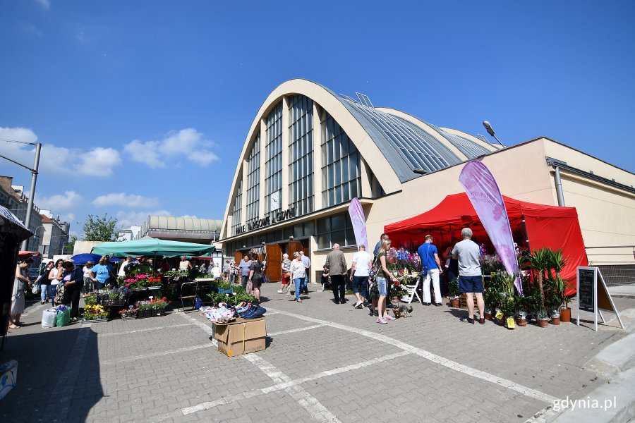 Festiwal kwiatów w Miejskich Halach Targowych // fot. Michał Puszczewicz