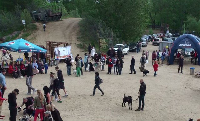 Psie fikołki - festyn edukacyjny "Pies w wielkim mieście" 13.05.2012