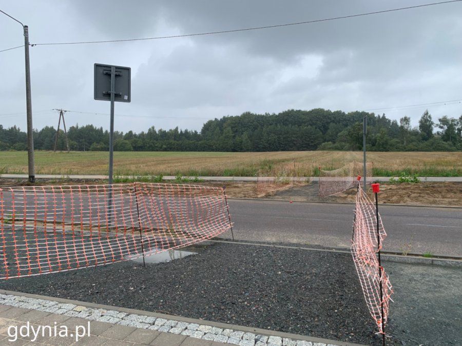 Przebudowa ul. Wiczlińskiej