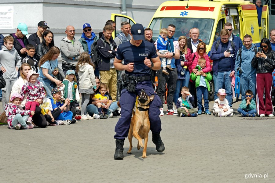 Pokaz tresury psa policyjnego podczas festynu „Jestem kibicem”