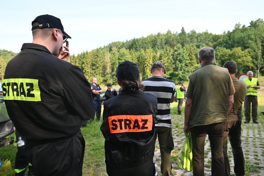 ludzie chodzą po lesie