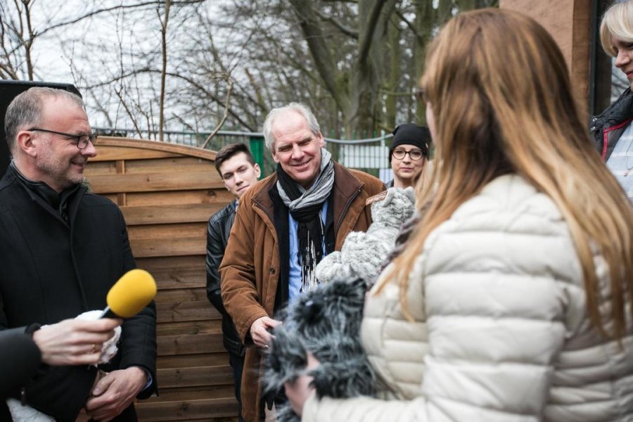 W Gdyni powstał nowy dom dla kotów // fot. Karol Stańczak