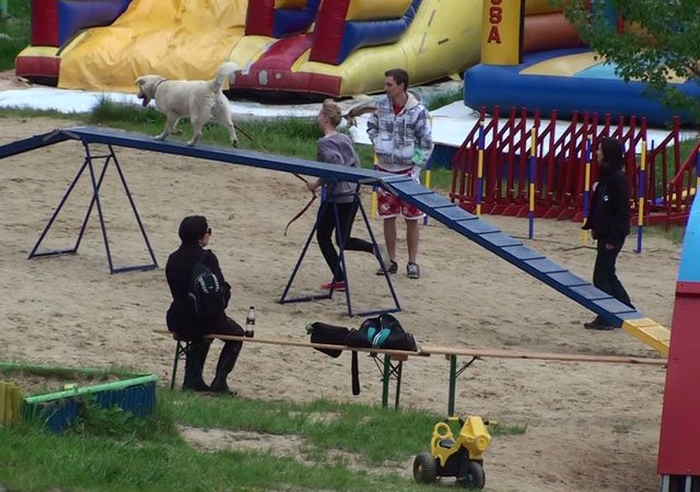 Psie fikołki - festyn edukacyjny "Pies w wielkim mieście" 13.05.2012