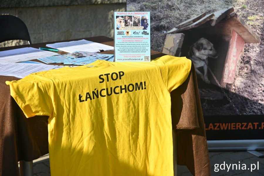 Stop łańcuchom! 