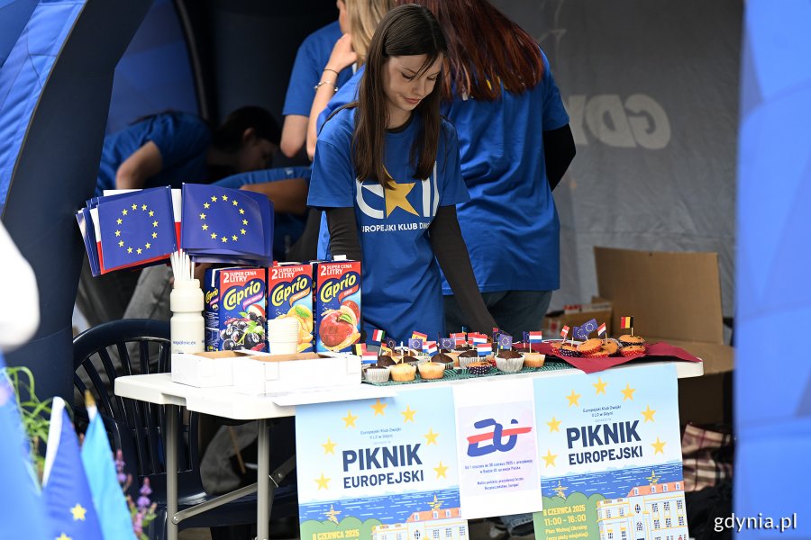 Piknik Europejski na Placu Wolnej Ukrainy w Gdyni (fot. Michał Puszczewicz)