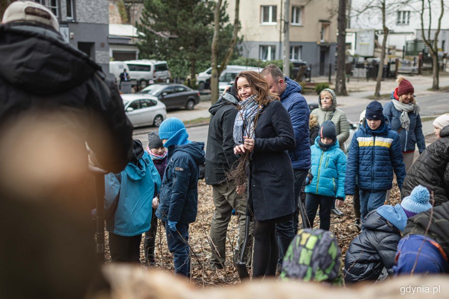 Nasadzenia drzew przy ul. Witomińskiej, fot. Kamil Złoch