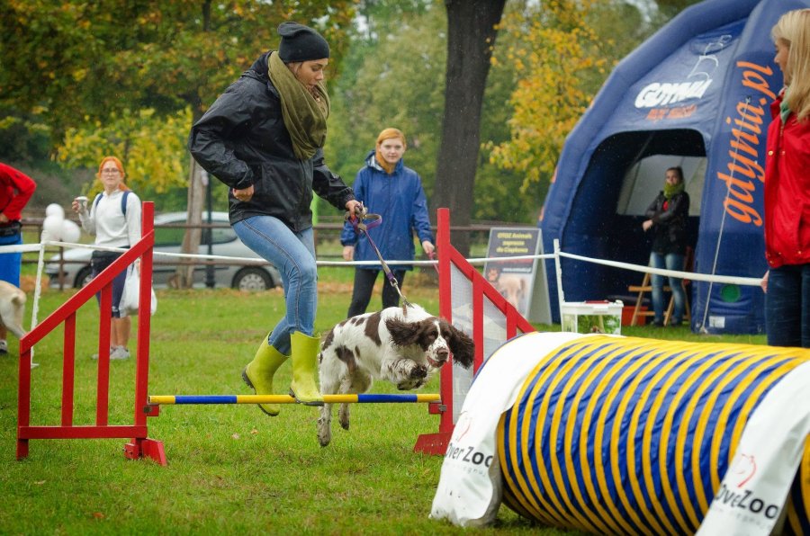 Psie Fikołki 11.10.2014