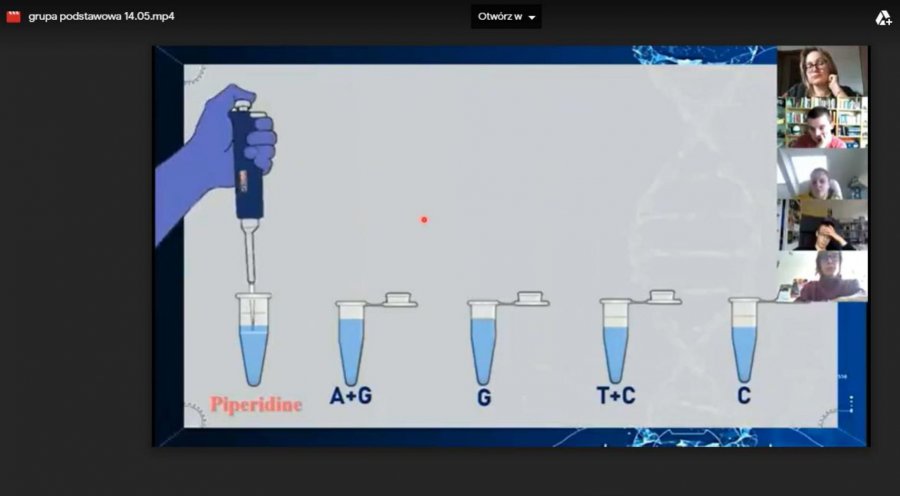 Zajęcia z biologii | Przygotowanie prób do sekwencjonowania DNA