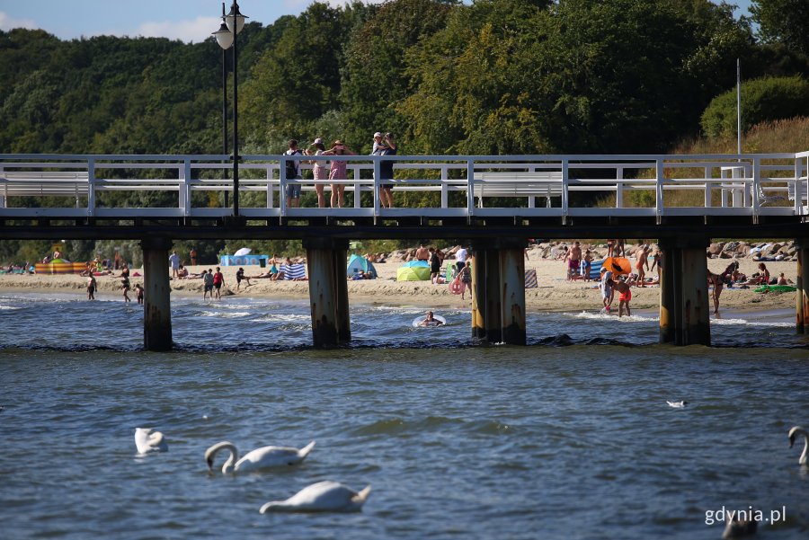 Plaża w Orłowie. Fot. Przemysław Kozłowski